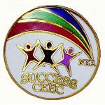 lapel pins - hard enamel