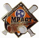 lapel pins - etched enamel