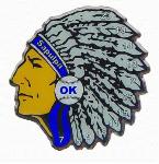 lapel pins - printed