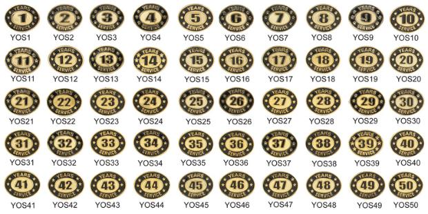lapel pins - years of service